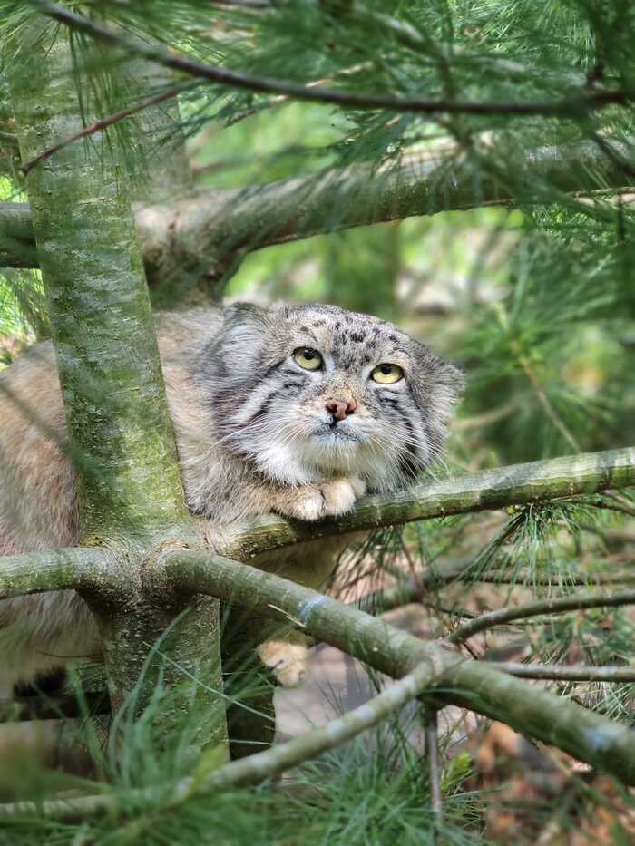 ������. ������� � 2017 ����. ����� � �������� �����