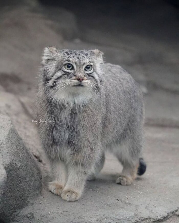 ��. �������� � 2019 ����. ����� � �������� ����