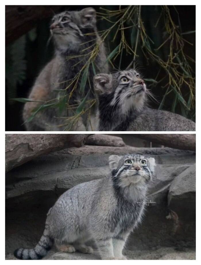 �����. �������� � 2024 ����. ����� � �������� ����