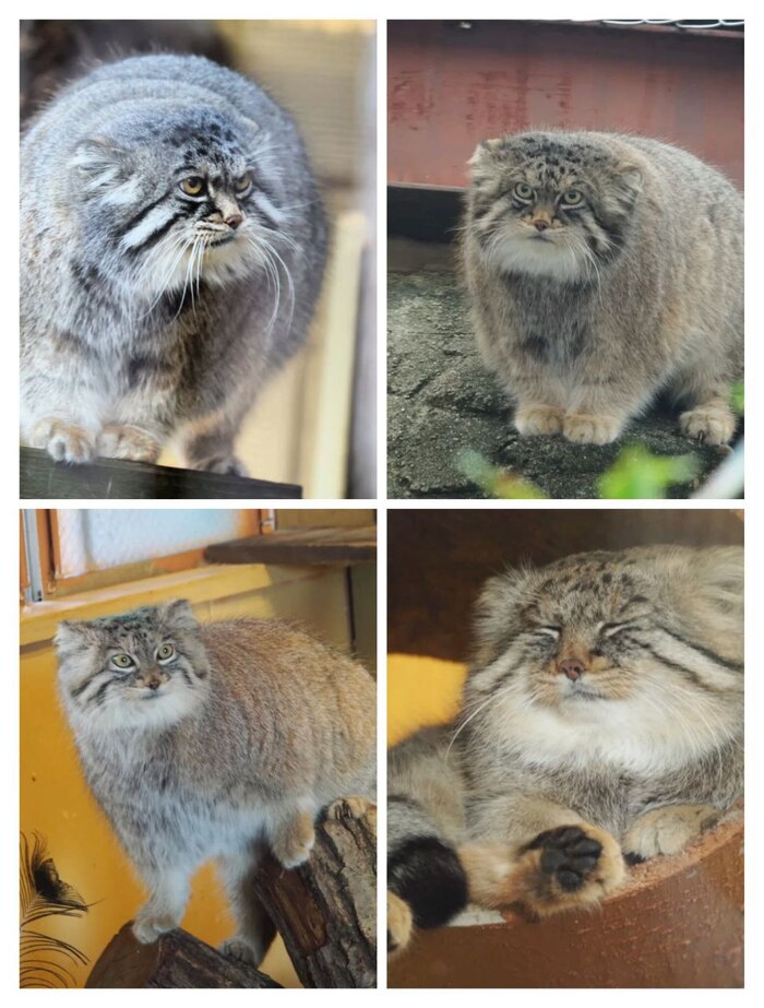 �����, ����, ����� � �����. �������� � 2017 ����. ����� ����� � �������� ��������, ���� � �������� ����, ����� � ����� � �������� �������