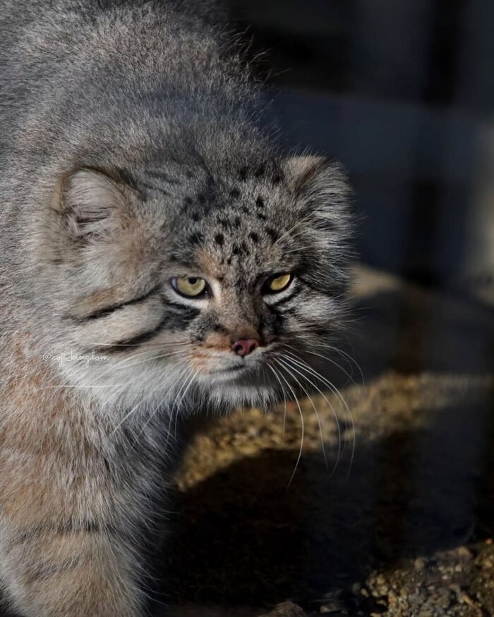 ���. ������� � 2019 ����. ����� � �������� ���������