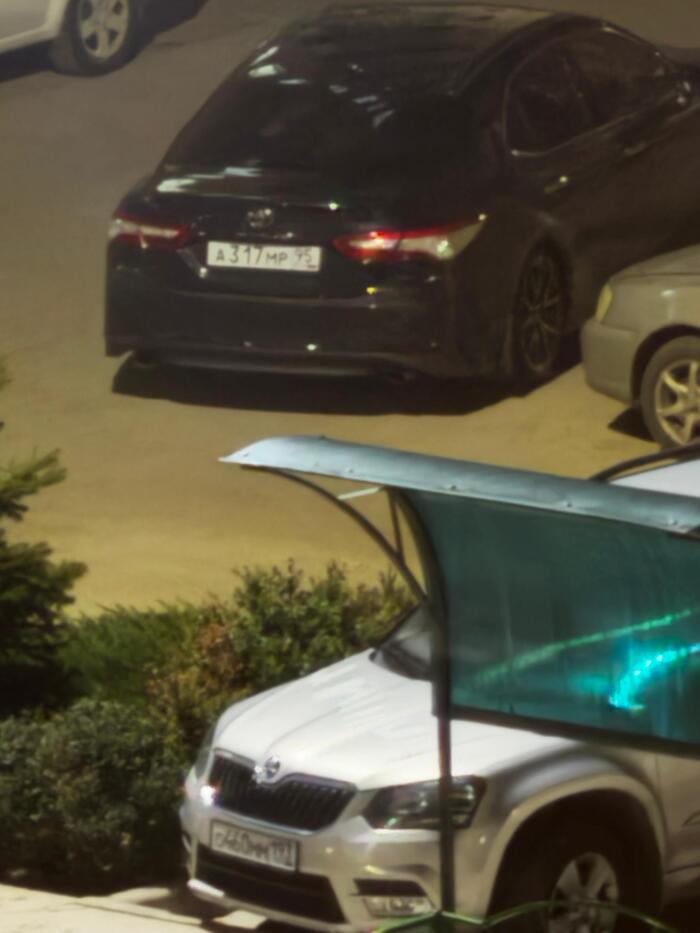 ������ ��������� �317��95