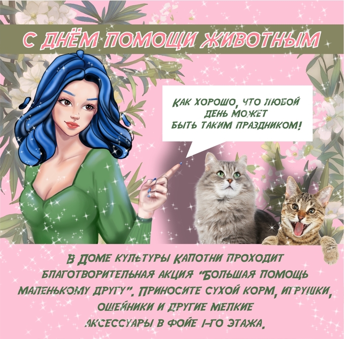 В ДК Капотни собирают корм и ништяки для шерстяных бро