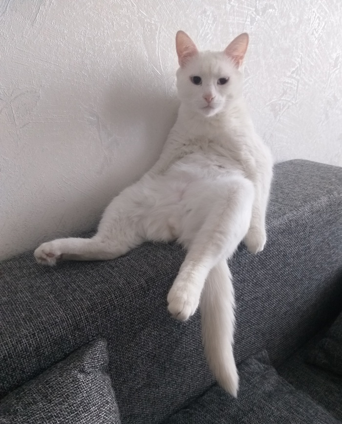 Mr. ������