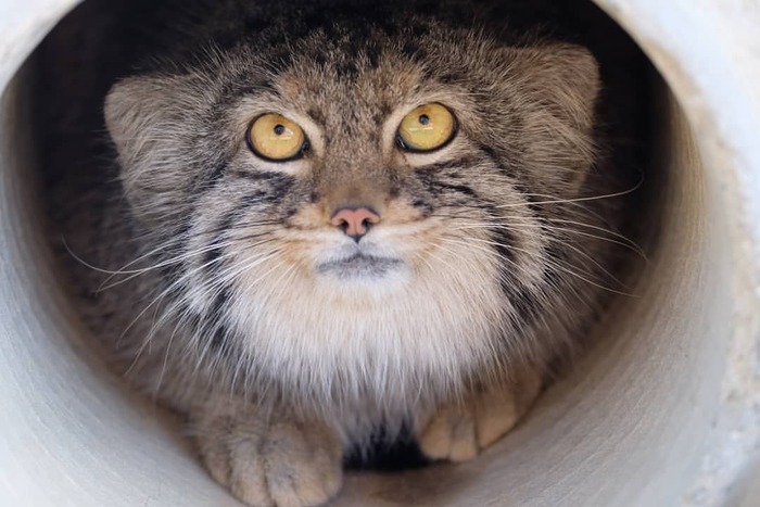 ����. ������� � 2018 ����. ����� � �������� ������ ����