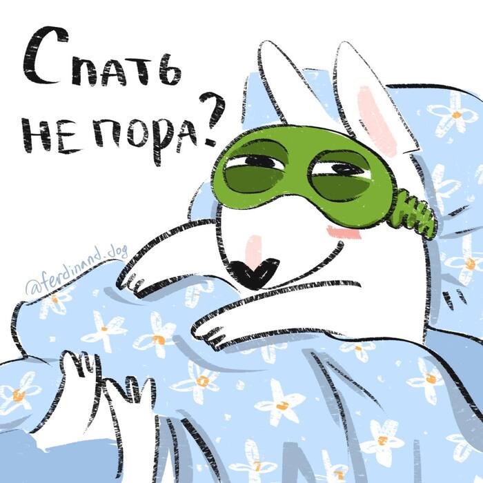 ������� ���� ����� ��������