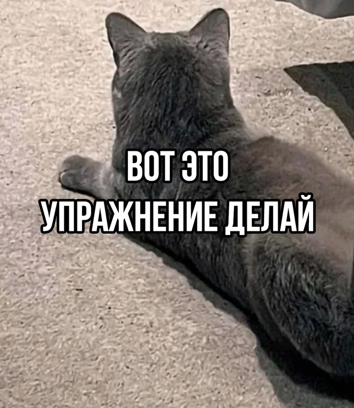   -   ! , , ,   , 