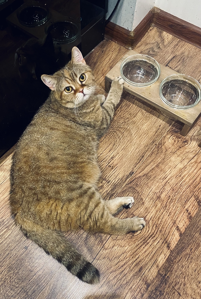 ��������, � ����� ������� �����?