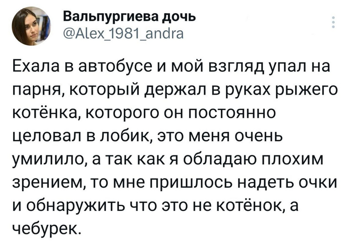   , X (Twitter), , ,  , Telegram (), 