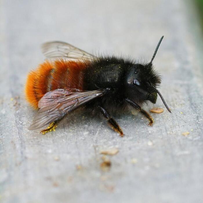 ,    = ( , , -, -  !