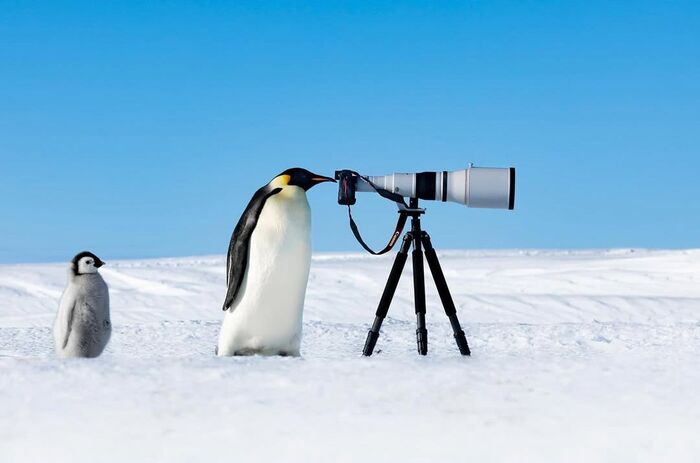 Папа, я здесь