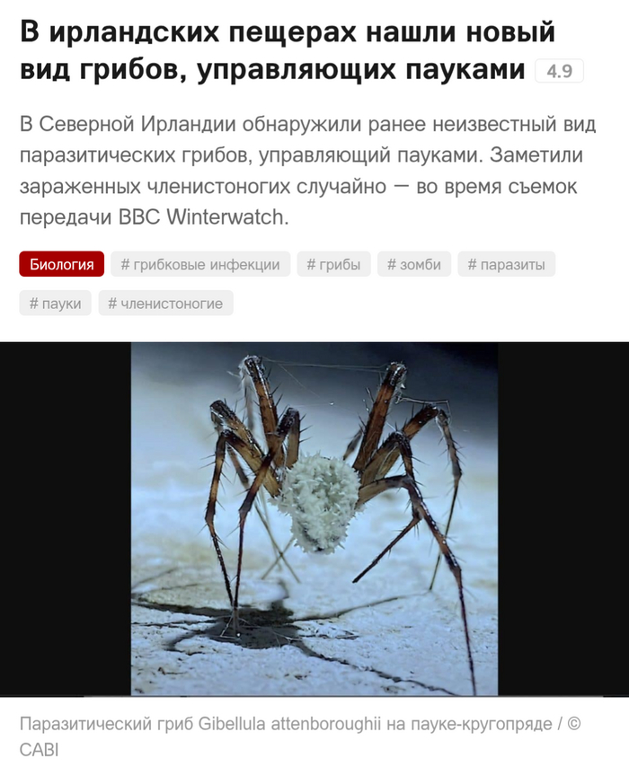     2025-! Naked Science, ,  ,  , , , 