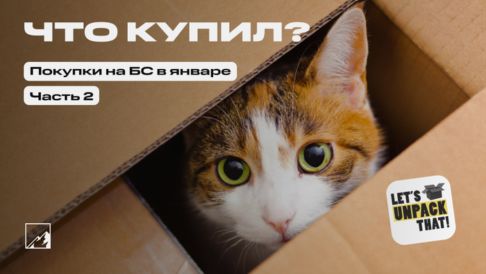 Пополнил брокерский счёт на 200 000 в январе. Что купил? Часть 2