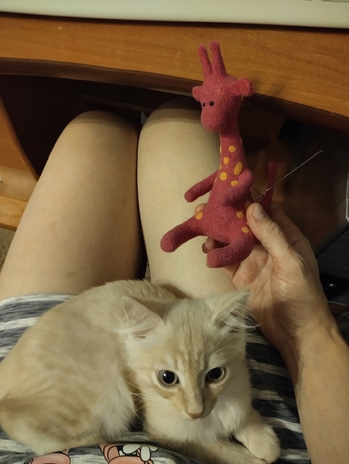 Хвостатый помощник.