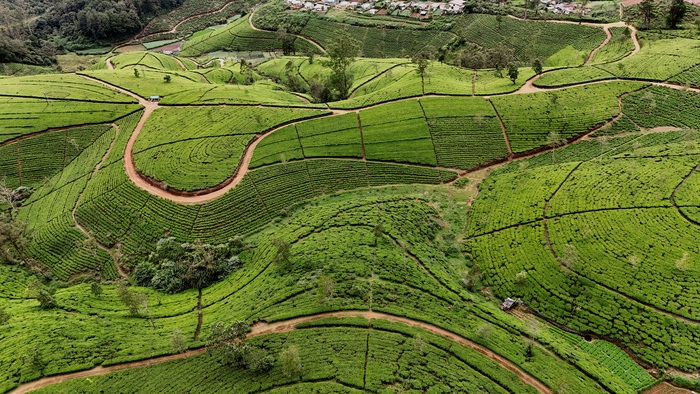 ������ ���?