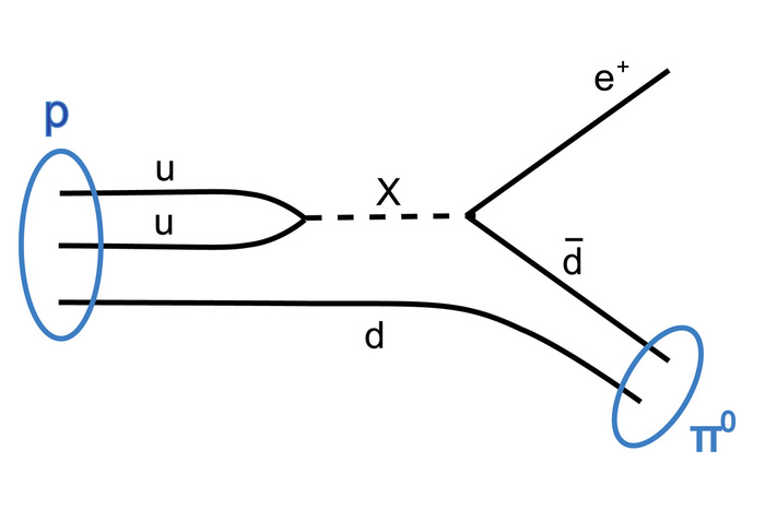 Диаграмма Фейнмана, показывающая один из возможных путей распада протона на более легкие частицы через взаимодействие с гипотетической Х-частицей / © Jotempe