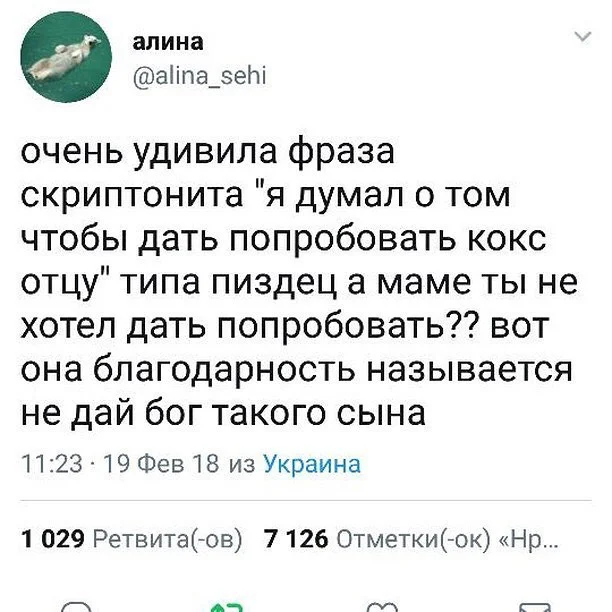 Опять кто-то из окружения Зели коры мочит Порошок, Скриптонит, Сын, Мат, Скриншот