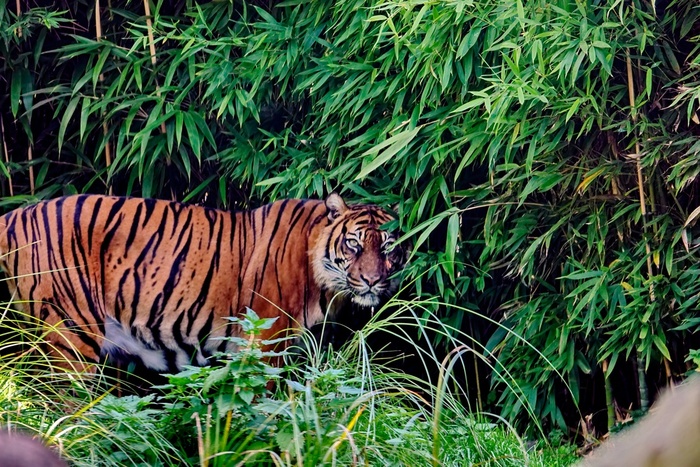 � �������� ����������