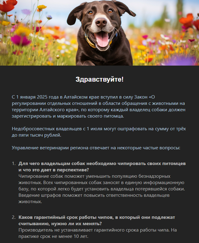 Призыв администрации Алтайского края чипировать домашних питомцев