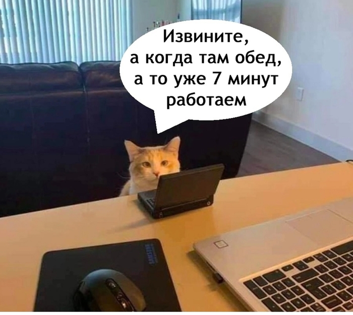 -  ,     