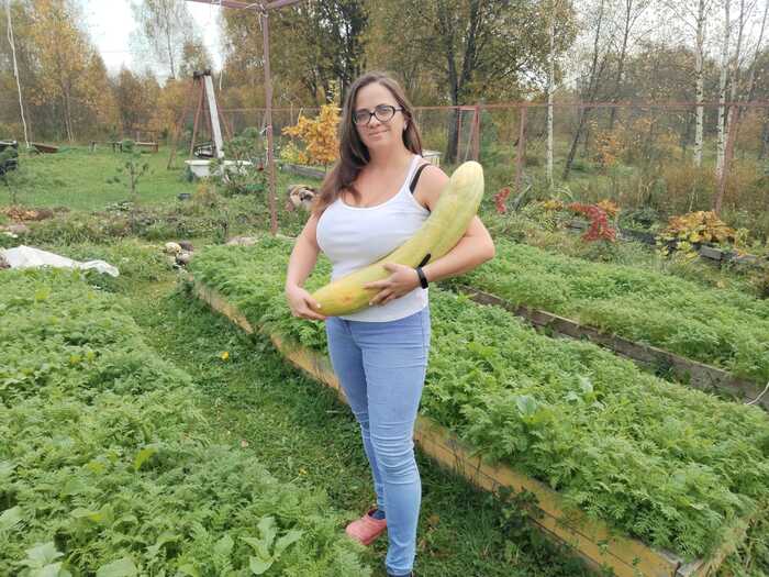 Огурец, огурец... Настоящий молодец!