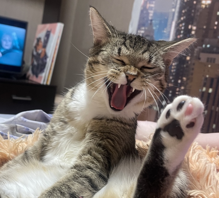 ����������