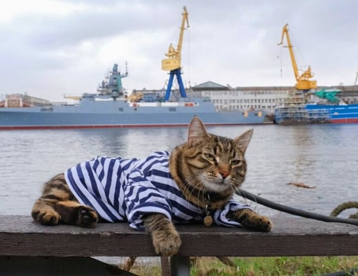 ��������� ���������