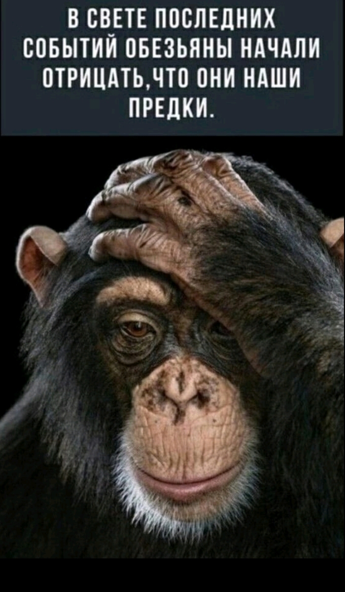 � ����� ��������� �������...