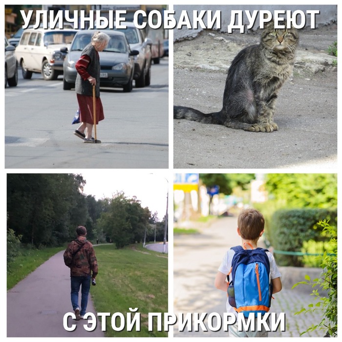      ,     , ,  