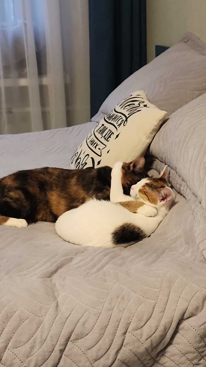 Милота с ноткой грусти