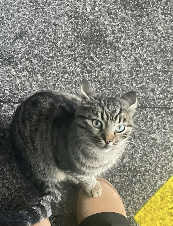  :3 , , , , 