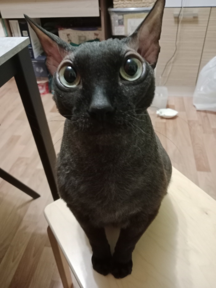  , ,  , , , ,  , 