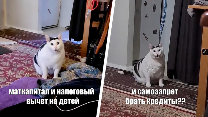  ,     :    2025  , , ,  , , , , , , ,  