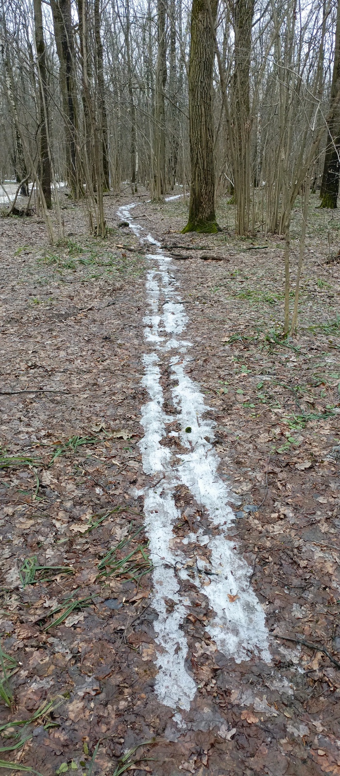   ,  ,  , , , , 