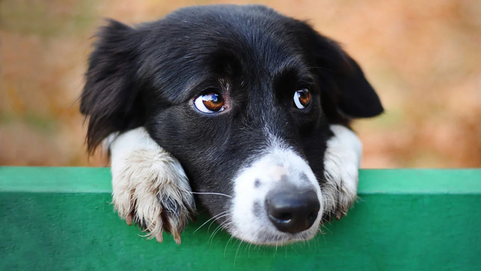 ,        ,       .         -   .