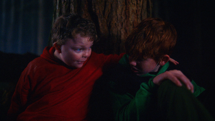    ,       80-     (  +)