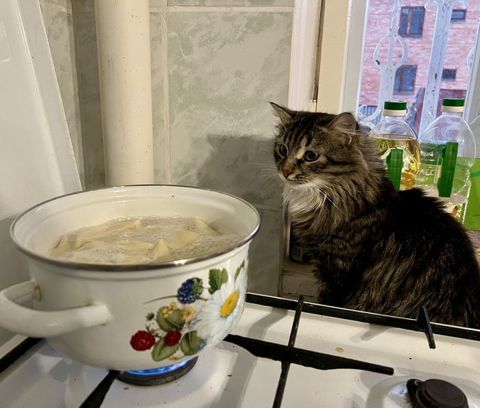 Пельмешке не скрыться