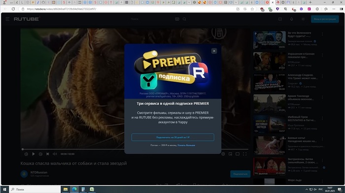    Rutube , RUTUBE, ,  , , Android, iPhone, Windows