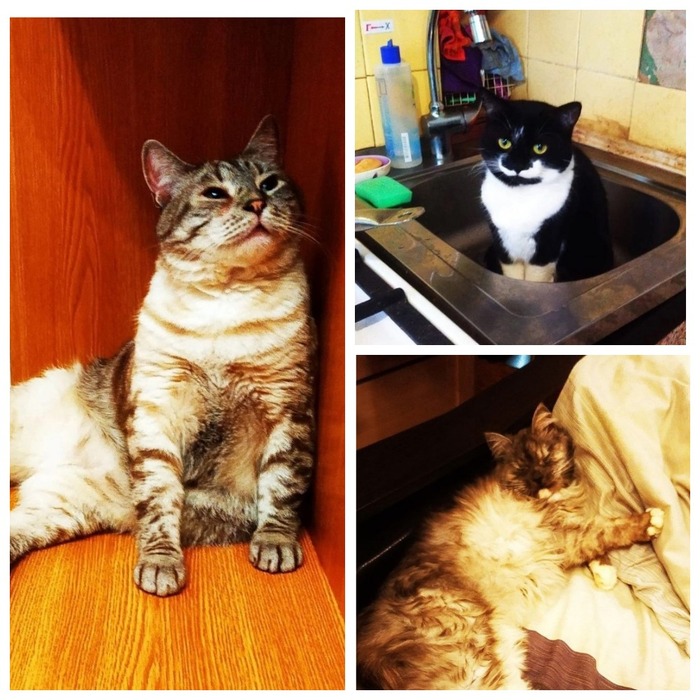     19.01.2021   2 ,     02.08.2024   4 ,     27.03.2021   1 