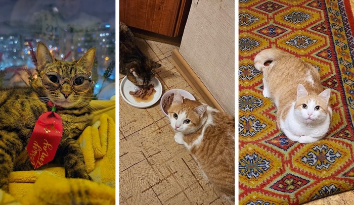     01.11.2022   4 ,     02.10.2024   5 