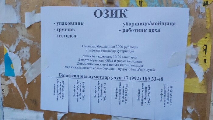 Ответ на пост «Нет нации, нет культуры, нет традиций, нет человека. Все это уже внутри нашей страны. Медленно, но верно ползет тихой сапой»