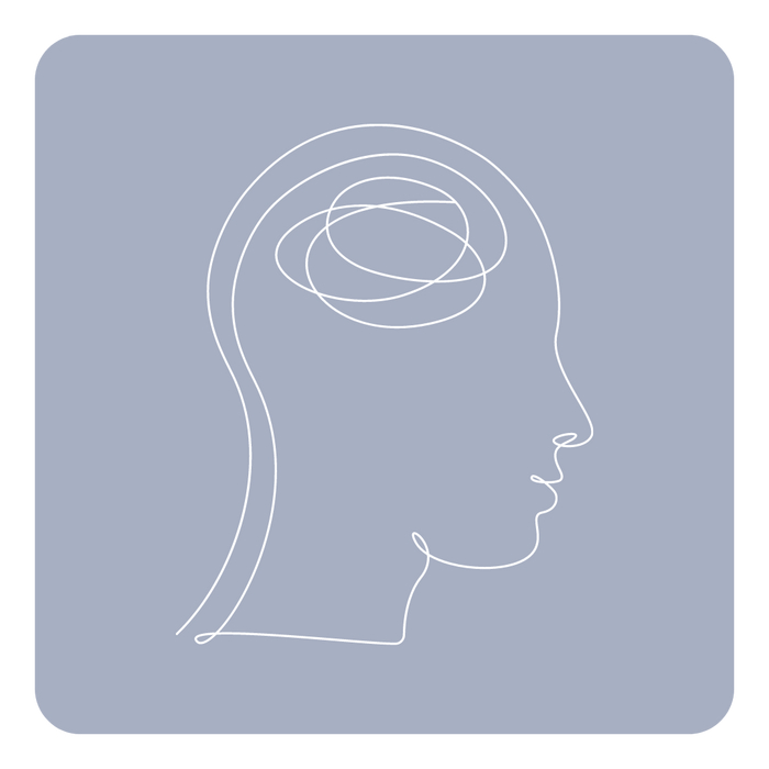 ���������� 2.0