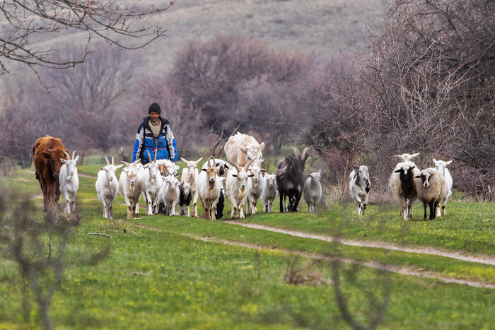 Смешанный состав