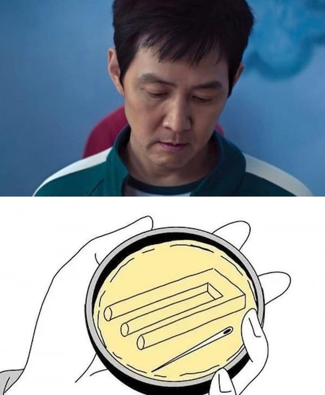 ���� � ����������� ��������