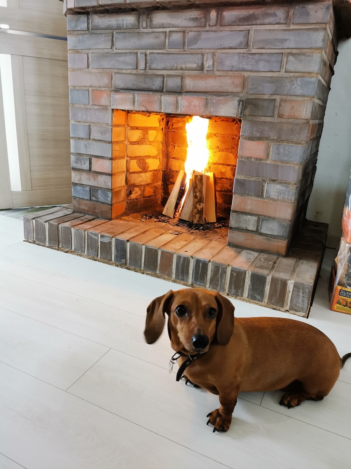 Технадзор приняла работу.