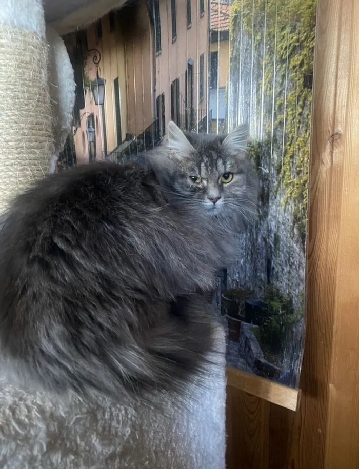 ���� �����.. ������ �� � ��� �������... �����������, ��� ������.. ��, ��.. � ����� �����������