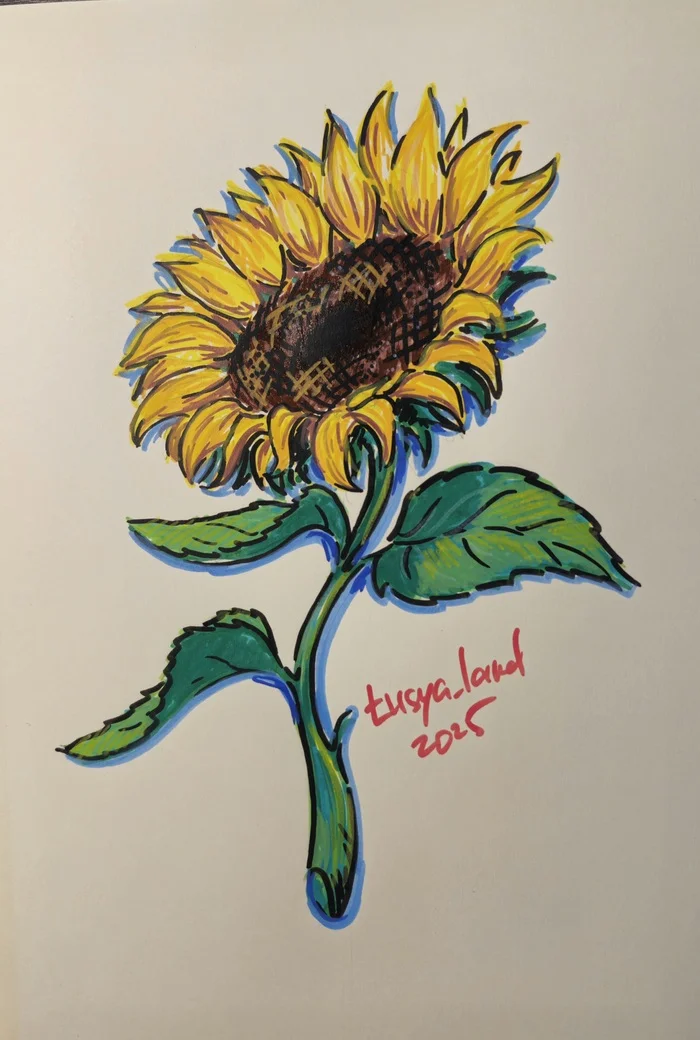 A bit of sunny mood - My, Art, Creation, Drawing, Marker, Sunflower, Flowers