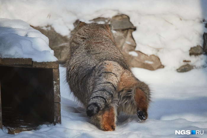Попозируем
