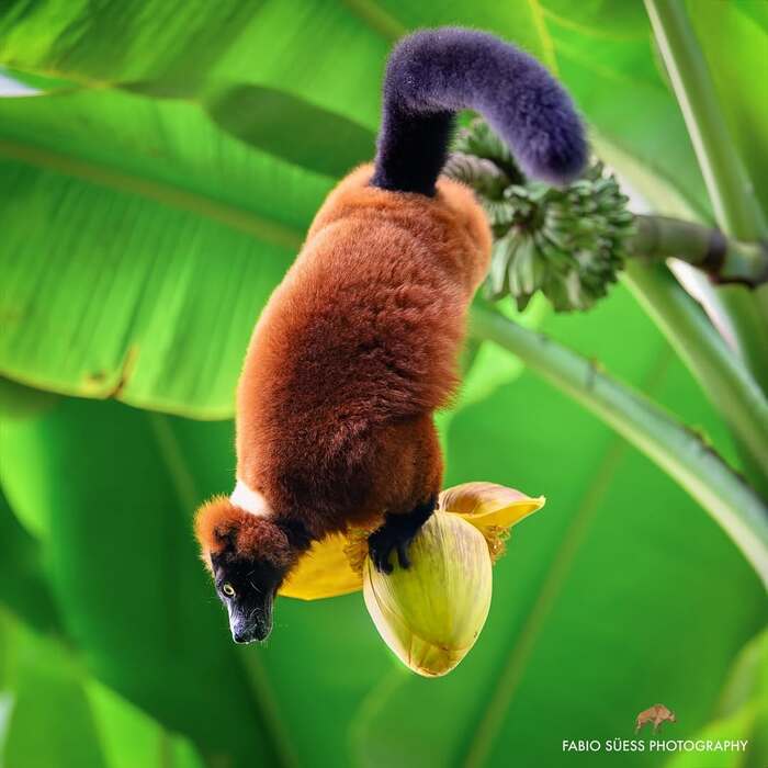    , , , ,  , , 