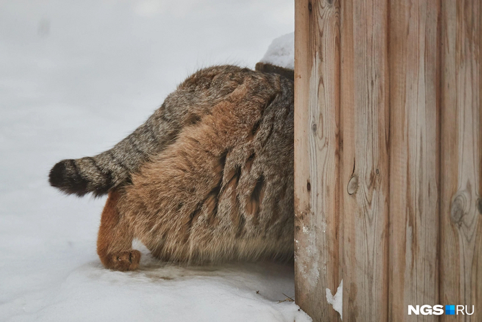 И зайти обратно